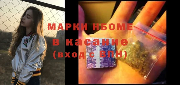 прущие грибы Переславль-Залесский