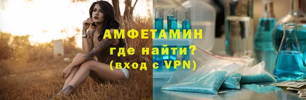 прущие грибы Переславль-Залесский