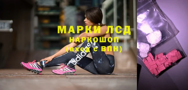 прущие грибы Переславль-Залесский