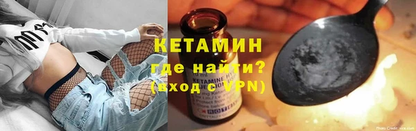 прущие грибы Переславль-Залесский