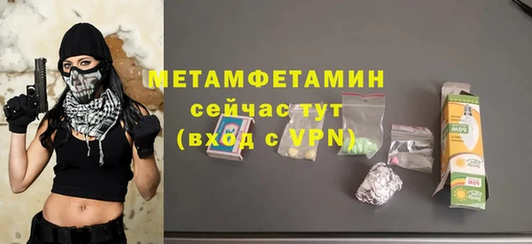 прущие грибы Переславль-Залесский