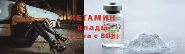 прущие грибы Переславль-Залесский