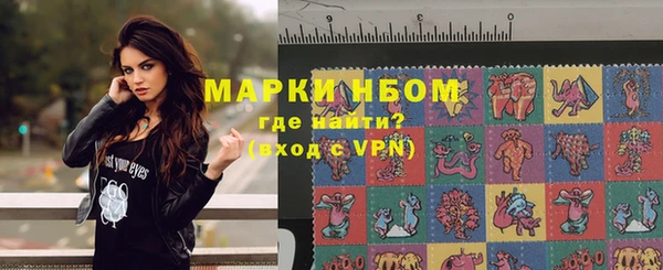 прущие грибы Переславль-Залесский