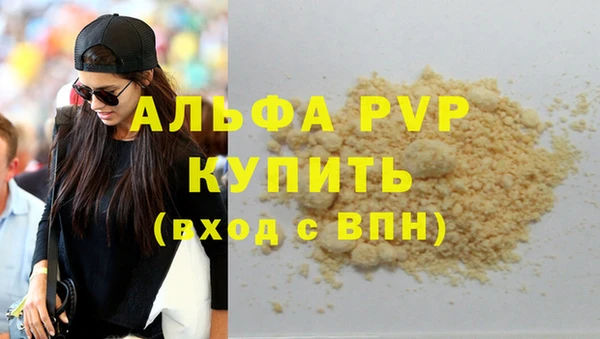 прущие грибы Переславль-Залесский