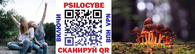 Псилоцибиновые грибы GOLDEN TEACHER  купить закладку  Кондрово 