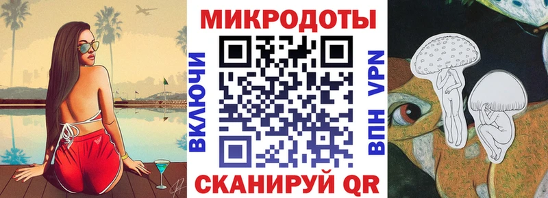 Псилоцибиновые грибы Psilocybe Кондрово
